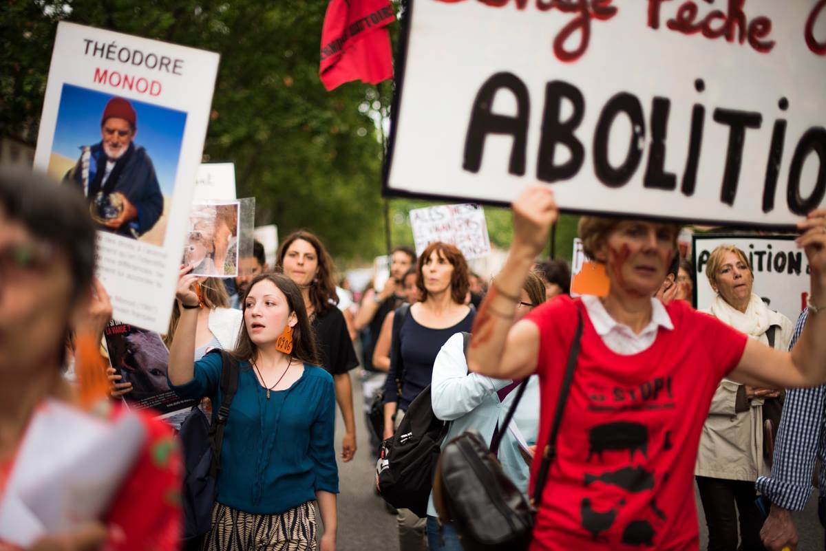 Photo de la Marche pour la fermeture des abattoirs 2016 à Toulouse
