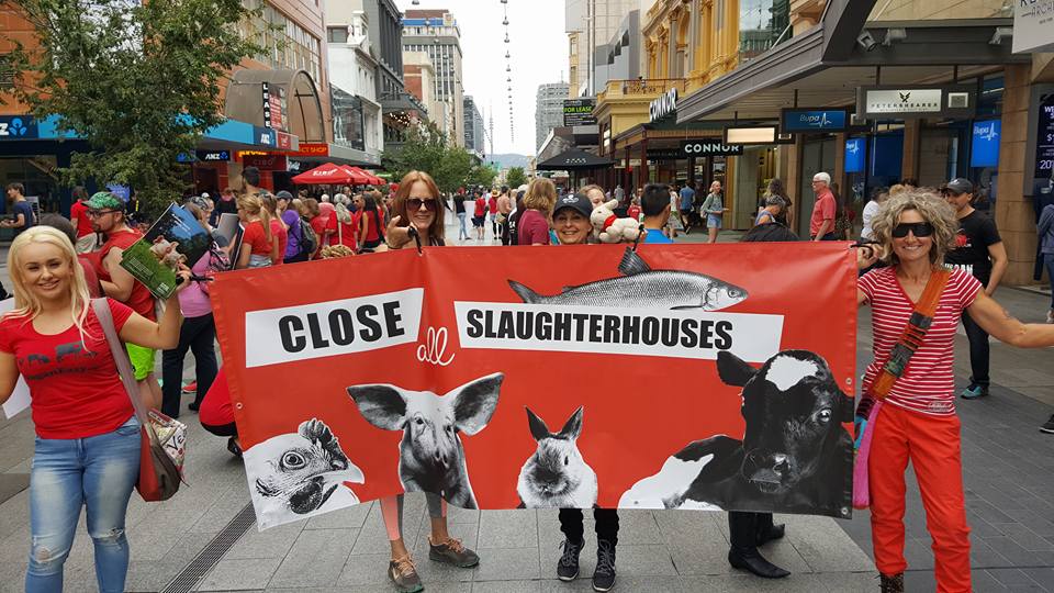 Adelaide March To Close All Slaughterhouses 2017 picture