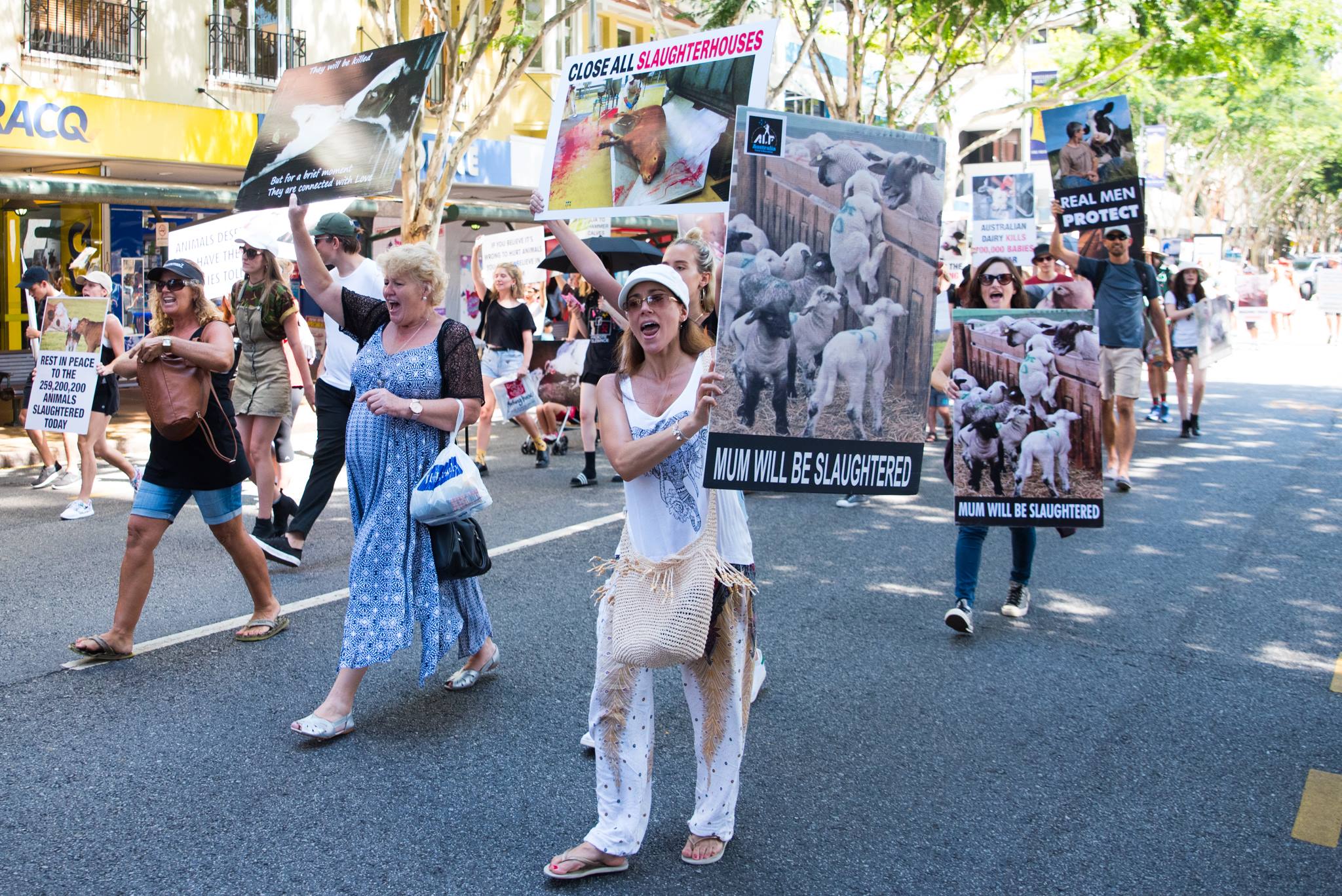 Brisbane March To Close All Slaughterhouses 2017 picture