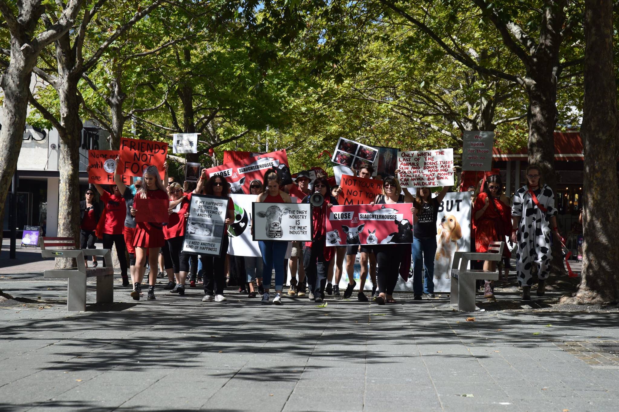 Canberra March To Close All Slaughterhouses 2017 picture