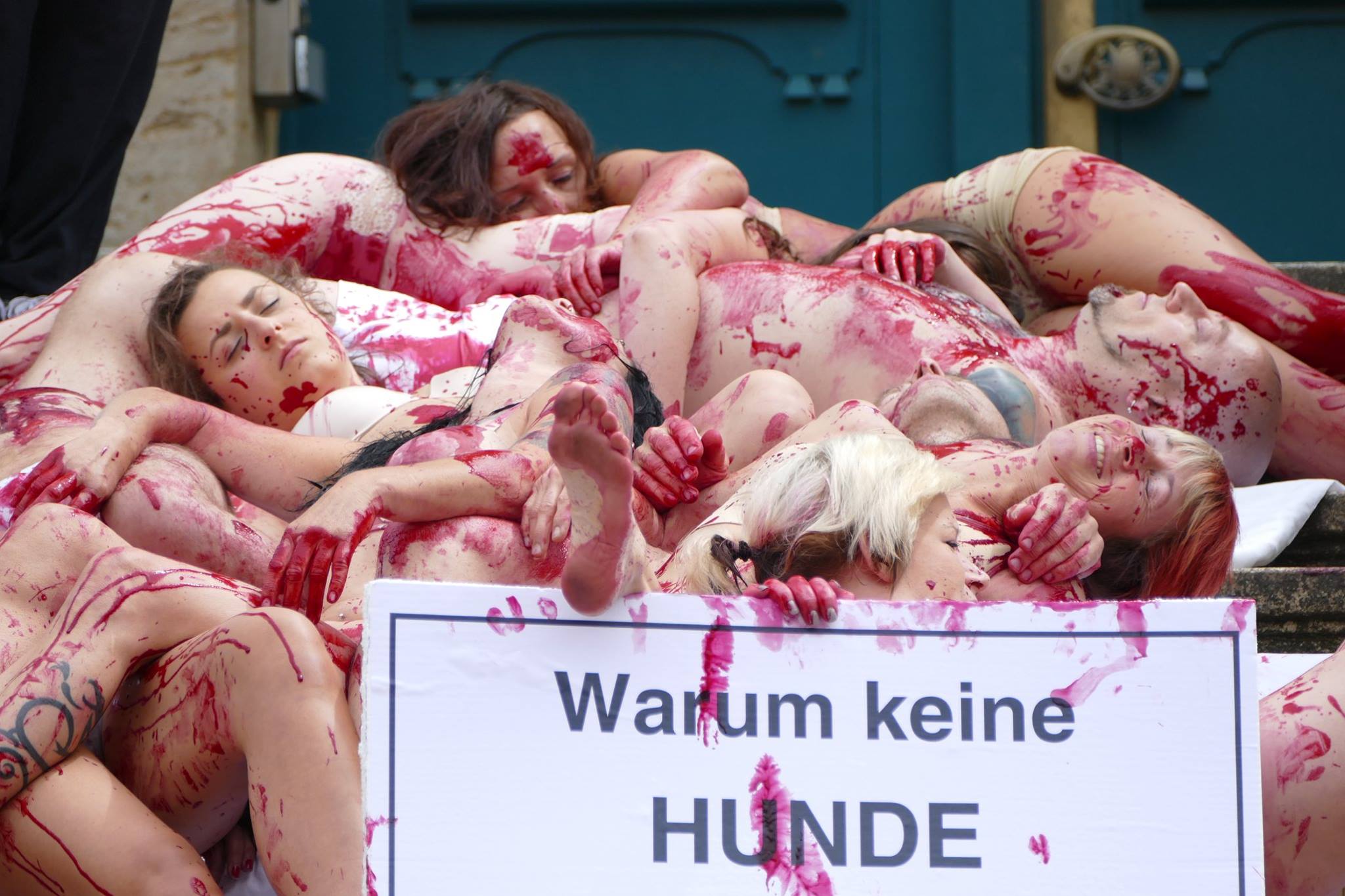Photo de la Marche pour la fermeture des abattoirs 2017 à Cassel