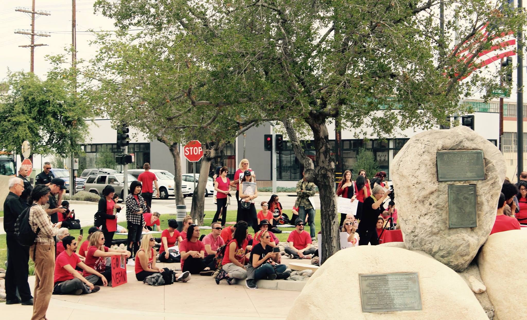 people for animals, Los angeles