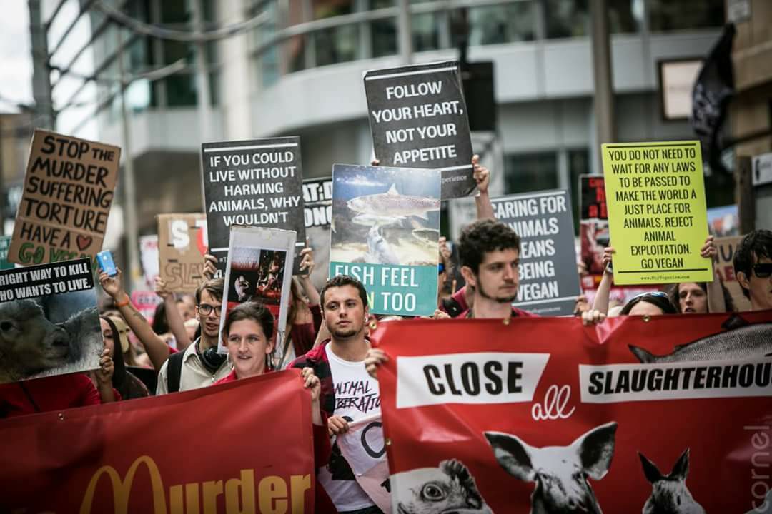 Photo de la Marche pour la fermeture des abattoirs 2017 à Manchester