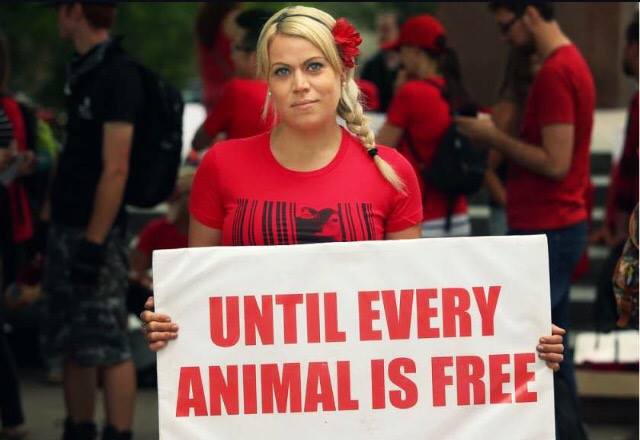 Photo de la Marche pour la fermeture des abattoirs 2017 à Ottawa