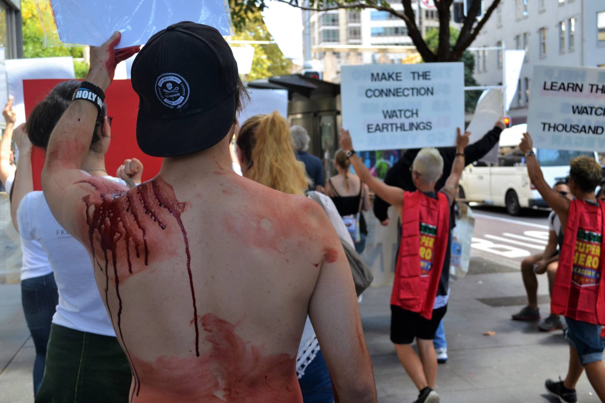 Sydney March To Close All Slaughterhouses 2017 picture