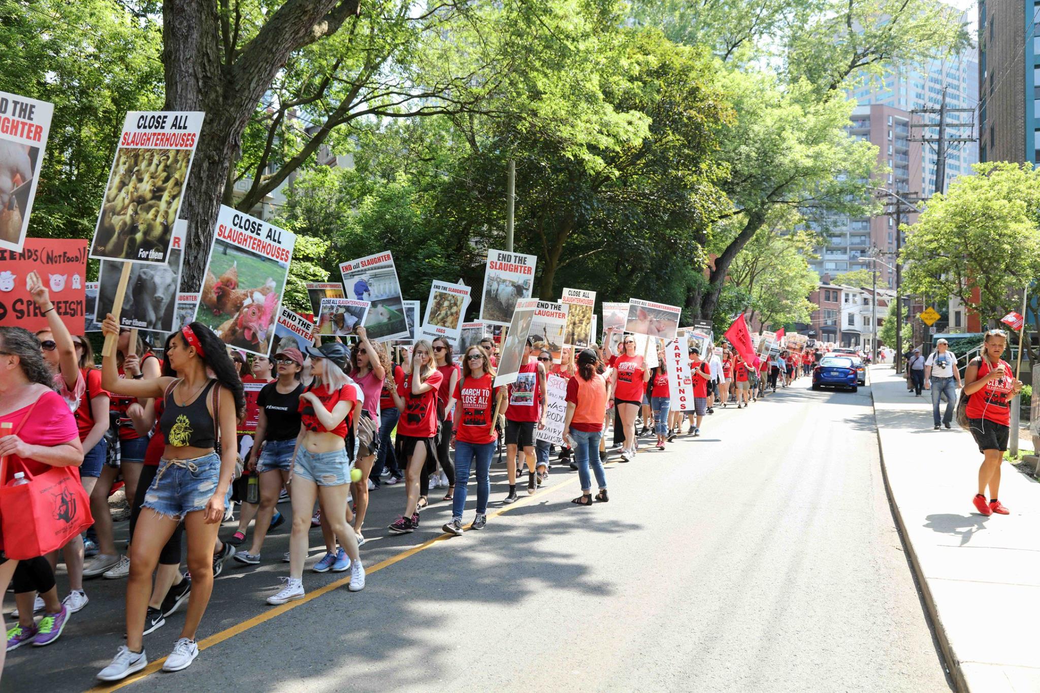 Photo de la Marche pour la fermeture des abattoirs 2017 à Toronto