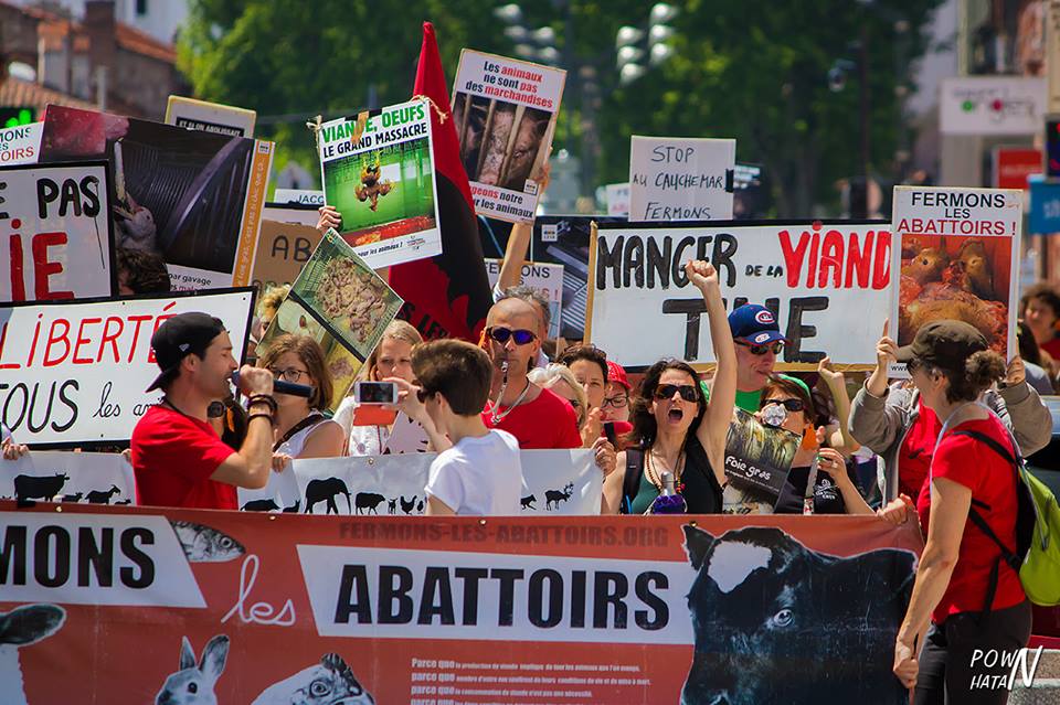 Photo de la Marche pour la fermeture des abattoirs 2017 à Toulouse