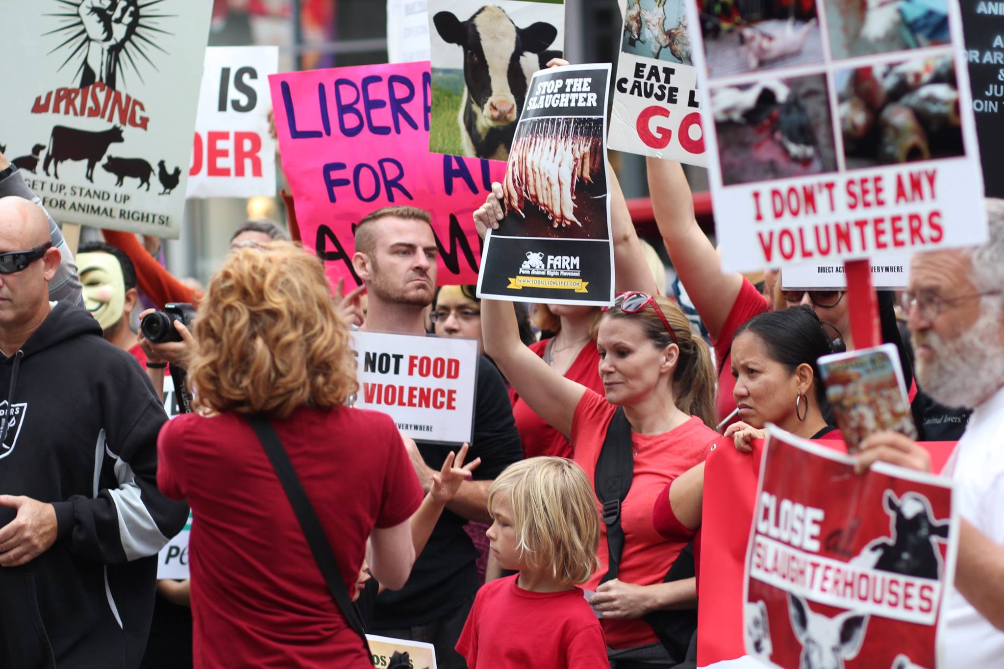 people for animals, Los angeles