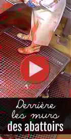 Bouton : voir les abattoirs