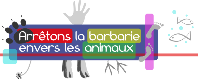 Pense-bête : Arrêtons la barbarie envers les animaux