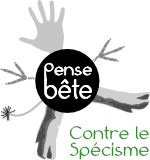 logo pense-bête