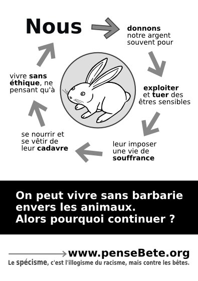 mini-brochure spécycle