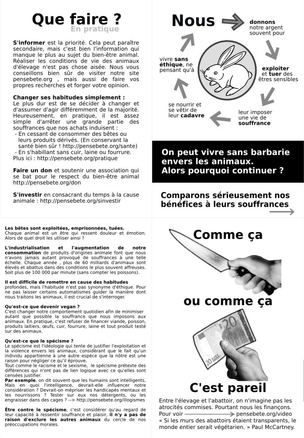mini-brochure spécycle